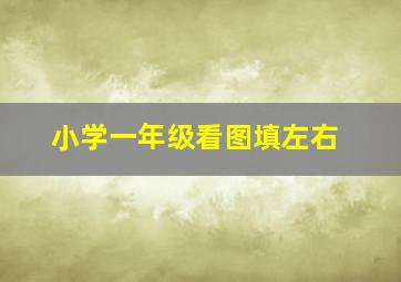 小学一年级看图填左右