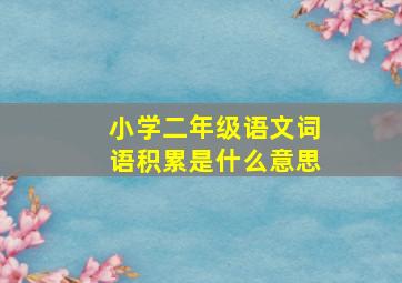 小学二年级语文词语积累是什么意思