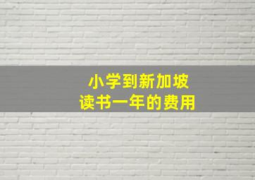 小学到新加坡读书一年的费用