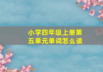 小学四年级上册第五单元单词怎么读