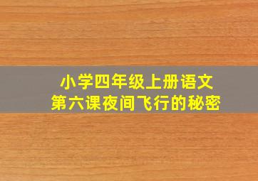 小学四年级上册语文第六课夜间飞行的秘密