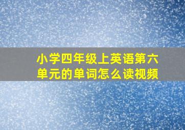 小学四年级上英语第六单元的单词怎么读视频