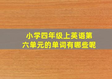 小学四年级上英语第六单元的单词有哪些呢