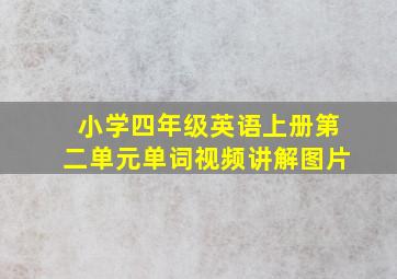 小学四年级英语上册第二单元单词视频讲解图片