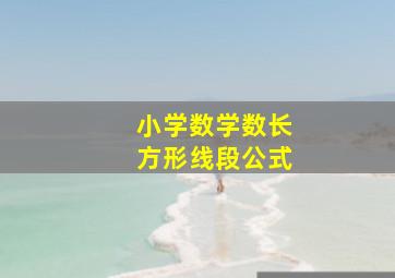 小学数学数长方形线段公式