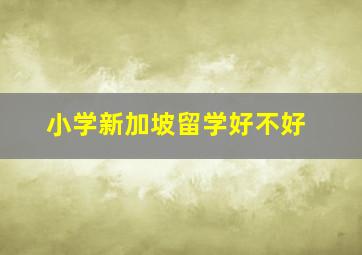 小学新加坡留学好不好