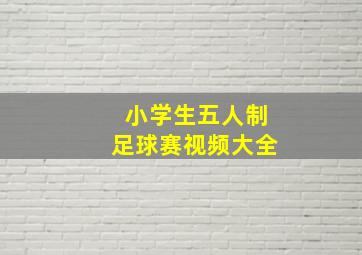 小学生五人制足球赛视频大全