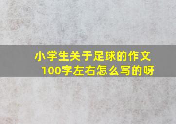 小学生关于足球的作文100字左右怎么写的呀