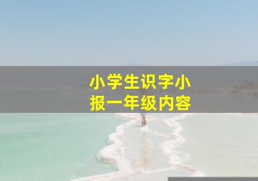 小学生识字小报一年级内容