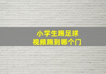 小学生踢足球视频踢到哪个门