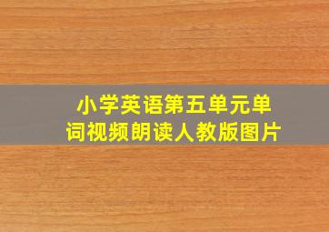 小学英语第五单元单词视频朗读人教版图片