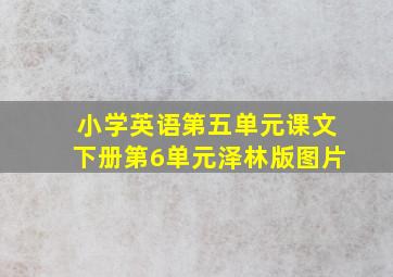 小学英语第五单元课文下册第6单元泽林版图片