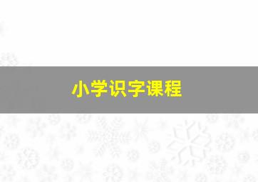 小学识字课程