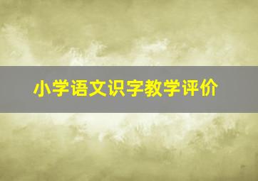 小学语文识字教学评价