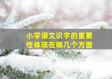 小学语文识字的重要性体现在哪几个方面