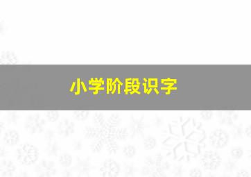 小学阶段识字