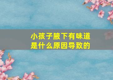 小孩子腋下有味道是什么原因导致的