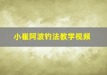 小崔阿波钓法教学视频