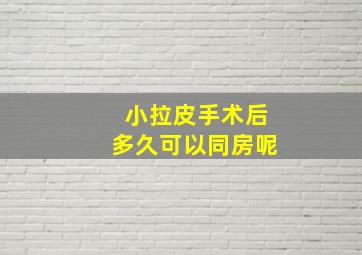 小拉皮手术后多久可以同房呢