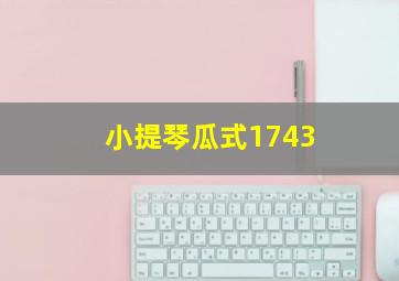 小提琴瓜式1743