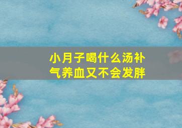 小月子喝什么汤补气养血又不会发胖