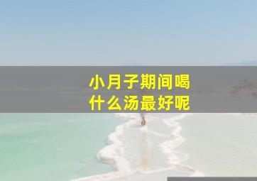 小月子期间喝什么汤最好呢