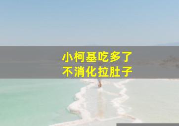 小柯基吃多了不消化拉肚子