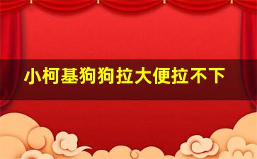 小柯基狗狗拉大便拉不下