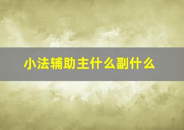 小法辅助主什么副什么