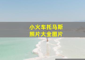 小火车托马斯照片大全图片