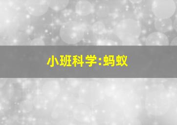 小班科学:蚂蚁