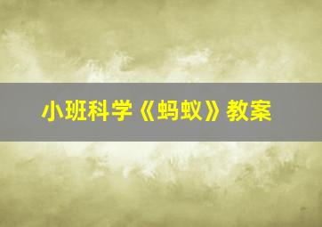 小班科学《蚂蚁》教案