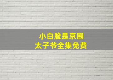 小白脸是京圈太子爷全集免费