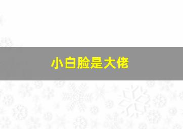 小白脸是大佬