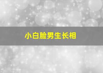 小白脸男生长相