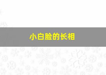 小白脸的长相