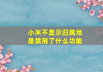 小米不显示归属地是禁用了什么功能