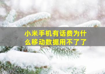 小米手机有话费为什么移动数据用不了了