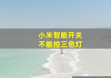 小米智能开关不能控三色灯