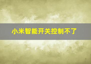 小米智能开关控制不了