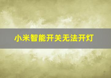 小米智能开关无法开灯