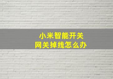 小米智能开关网关掉线怎么办