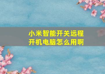 小米智能开关远程开机电脑怎么用啊