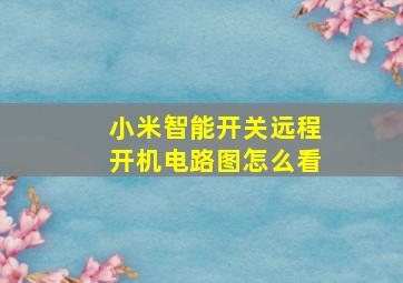 小米智能开关远程开机电路图怎么看