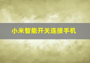 小米智能开关连接手机