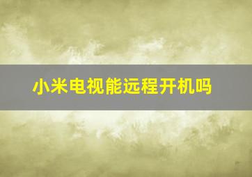 小米电视能远程开机吗