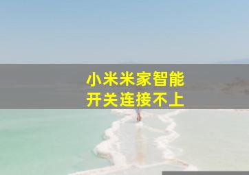 小米米家智能开关连接不上