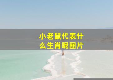 小老鼠代表什么生肖呢图片