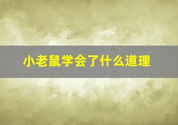 小老鼠学会了什么道理