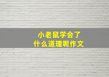 小老鼠学会了什么道理呢作文